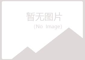 永泰县夏岚咨询有限公司